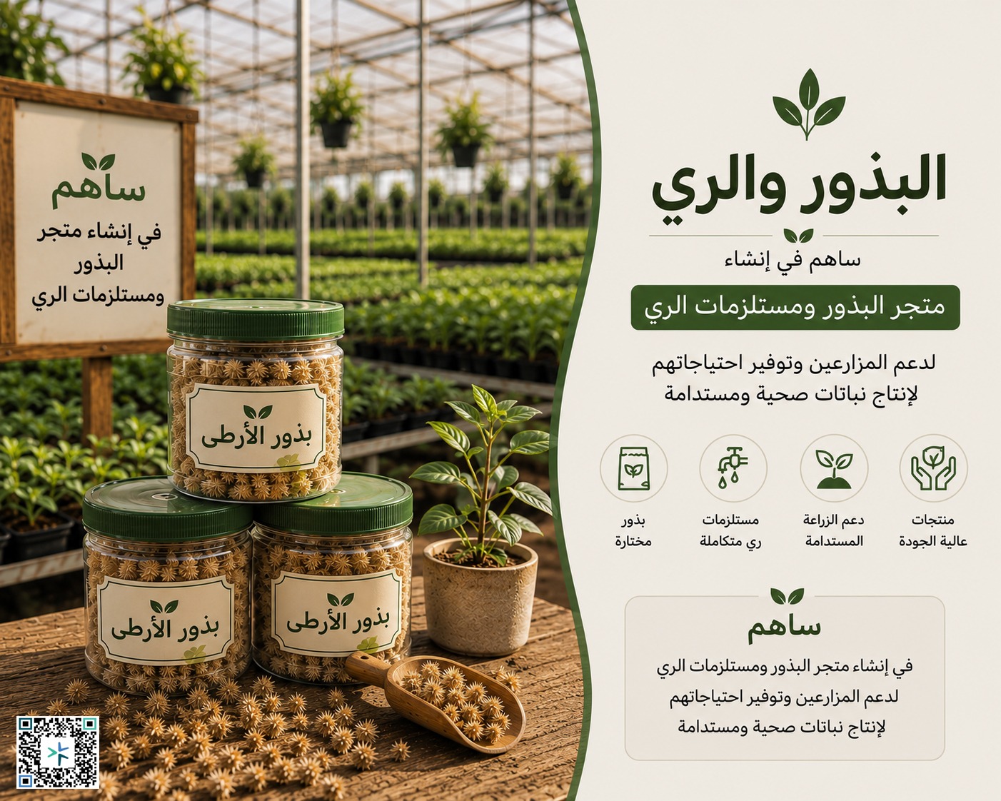 البذور والري